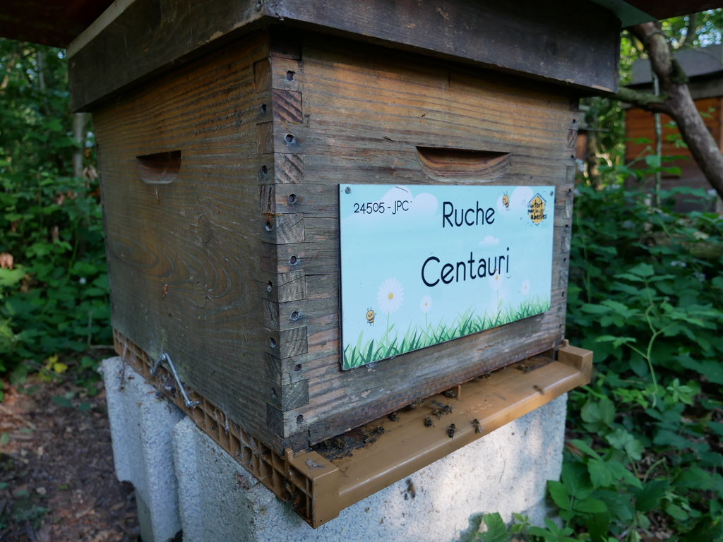 La ruche Centauri