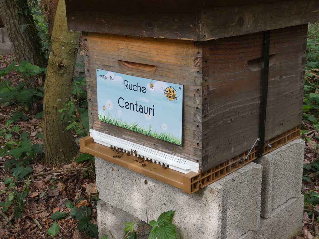 La ruche Centauri