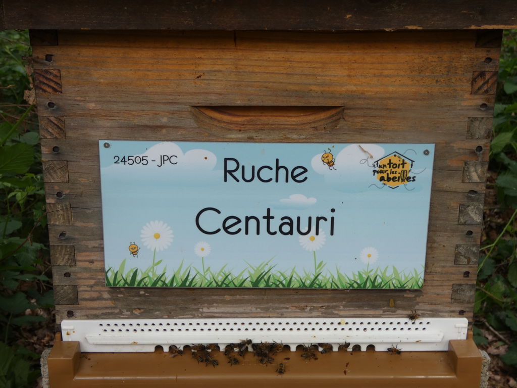 La ruche