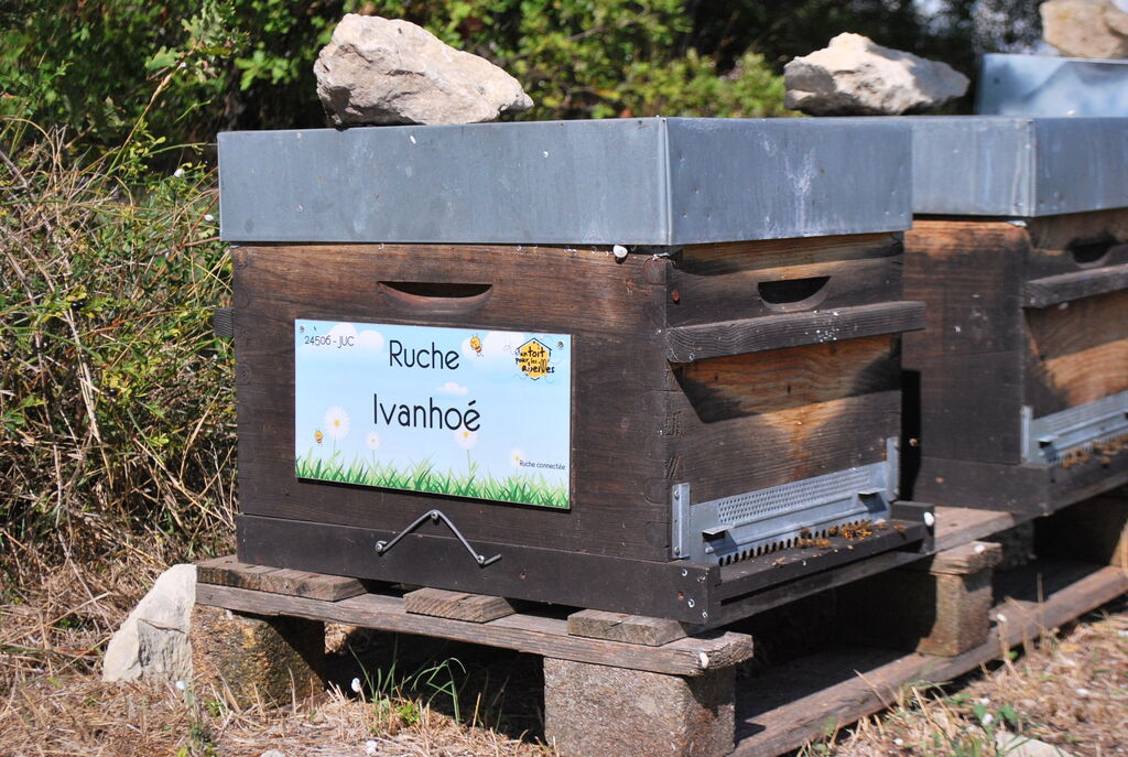 La ruche Ivanhoé
