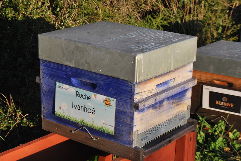 La ruche Ivanhoé