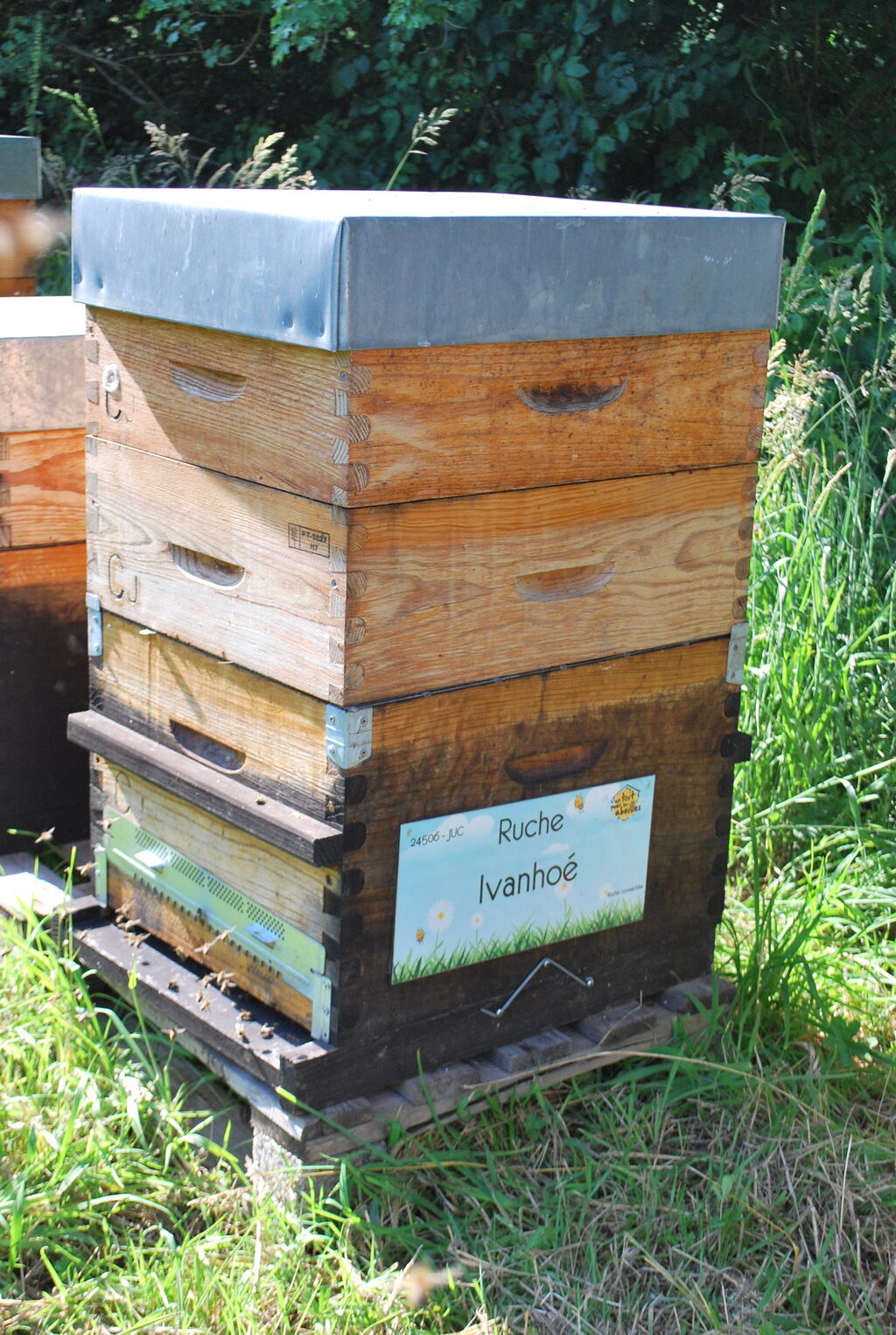 La ruche Ivanhoé