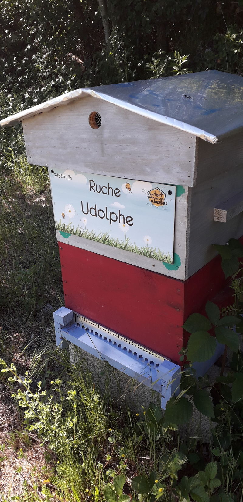 La ruche