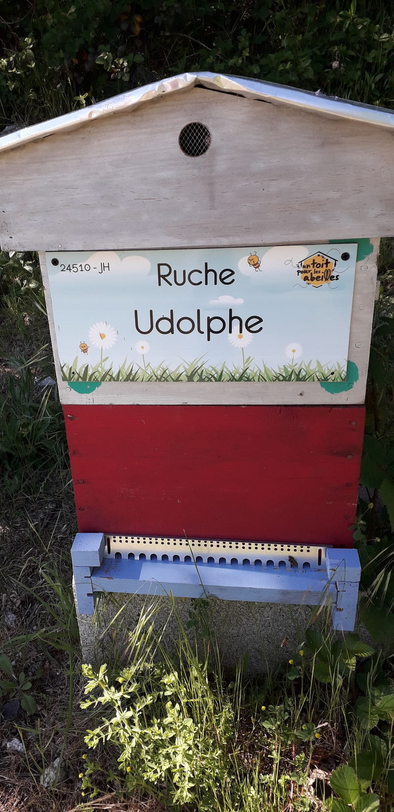 La ruche Udolphe