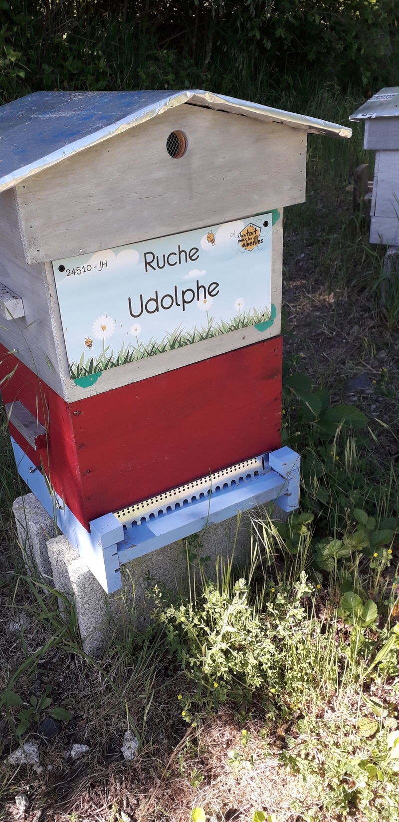 La ruche Udolphe