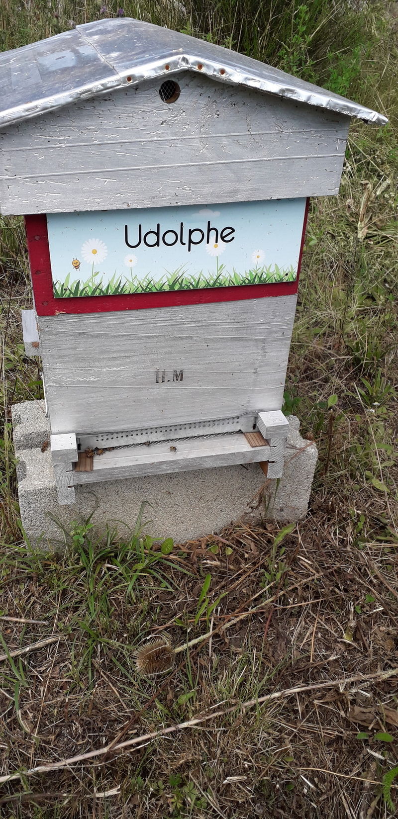 La ruche Udolphe