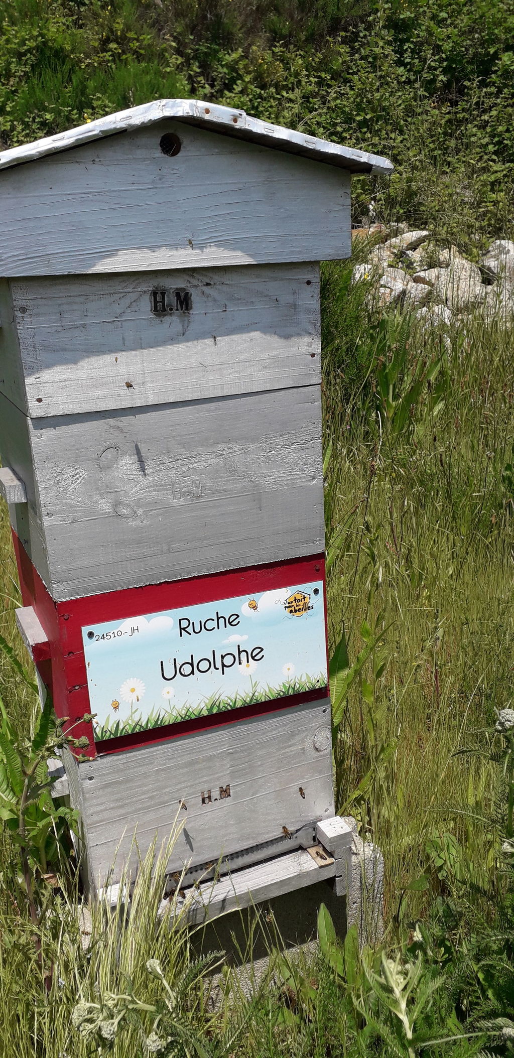 La ruche Udolphe