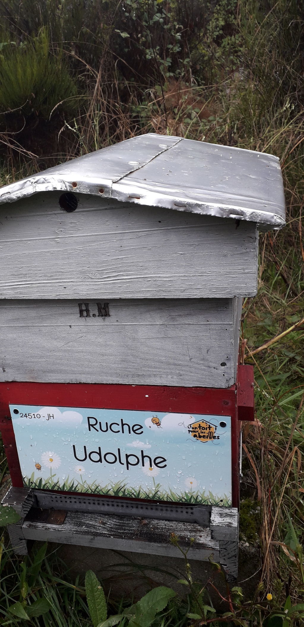 La ruche Udolphe