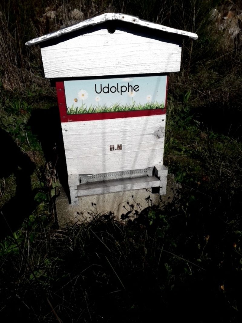 La ruche Udolphe