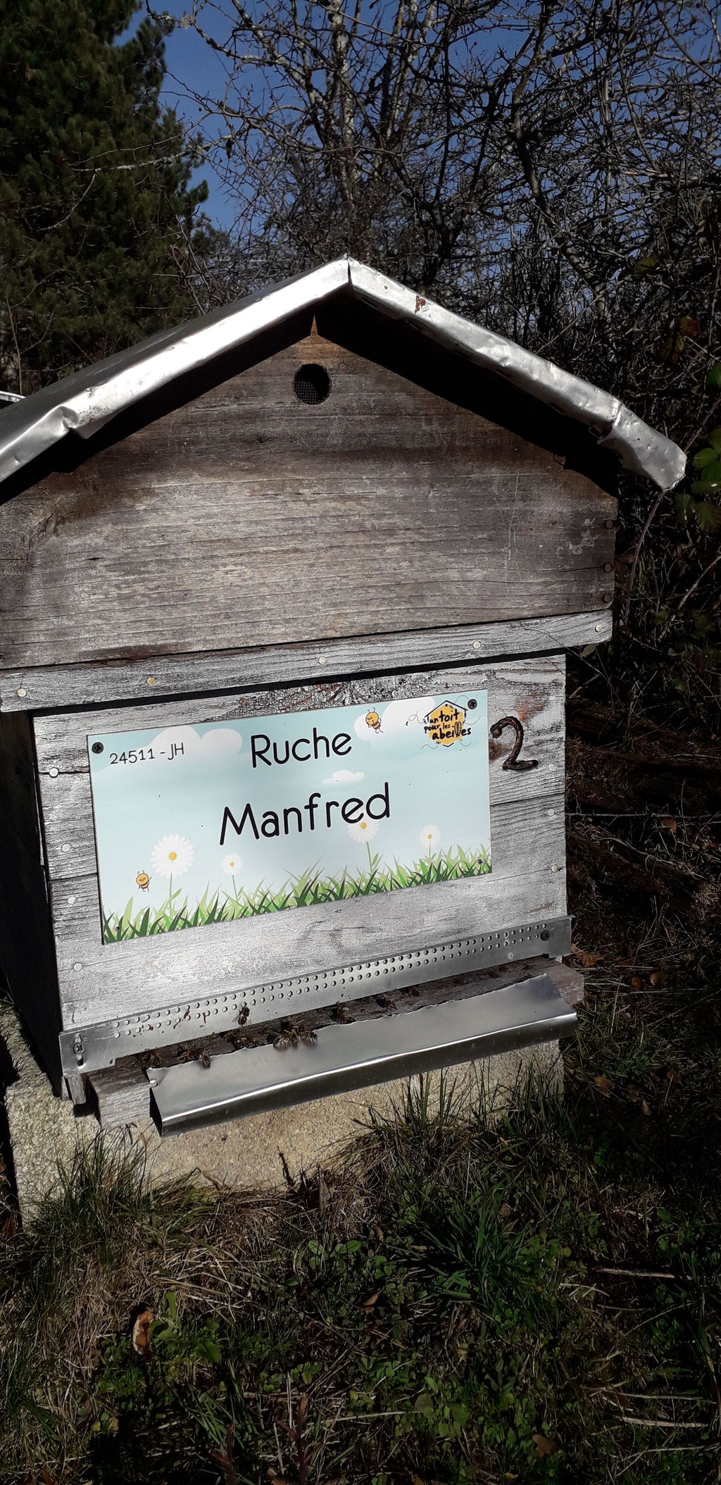 La ruche Manfred