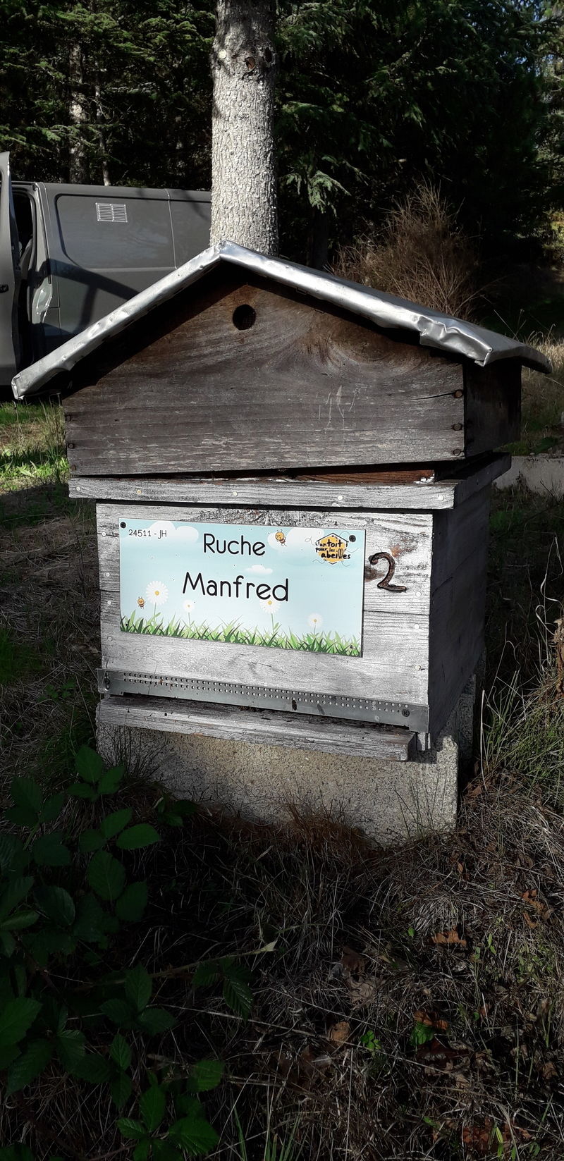La ruche Manfred