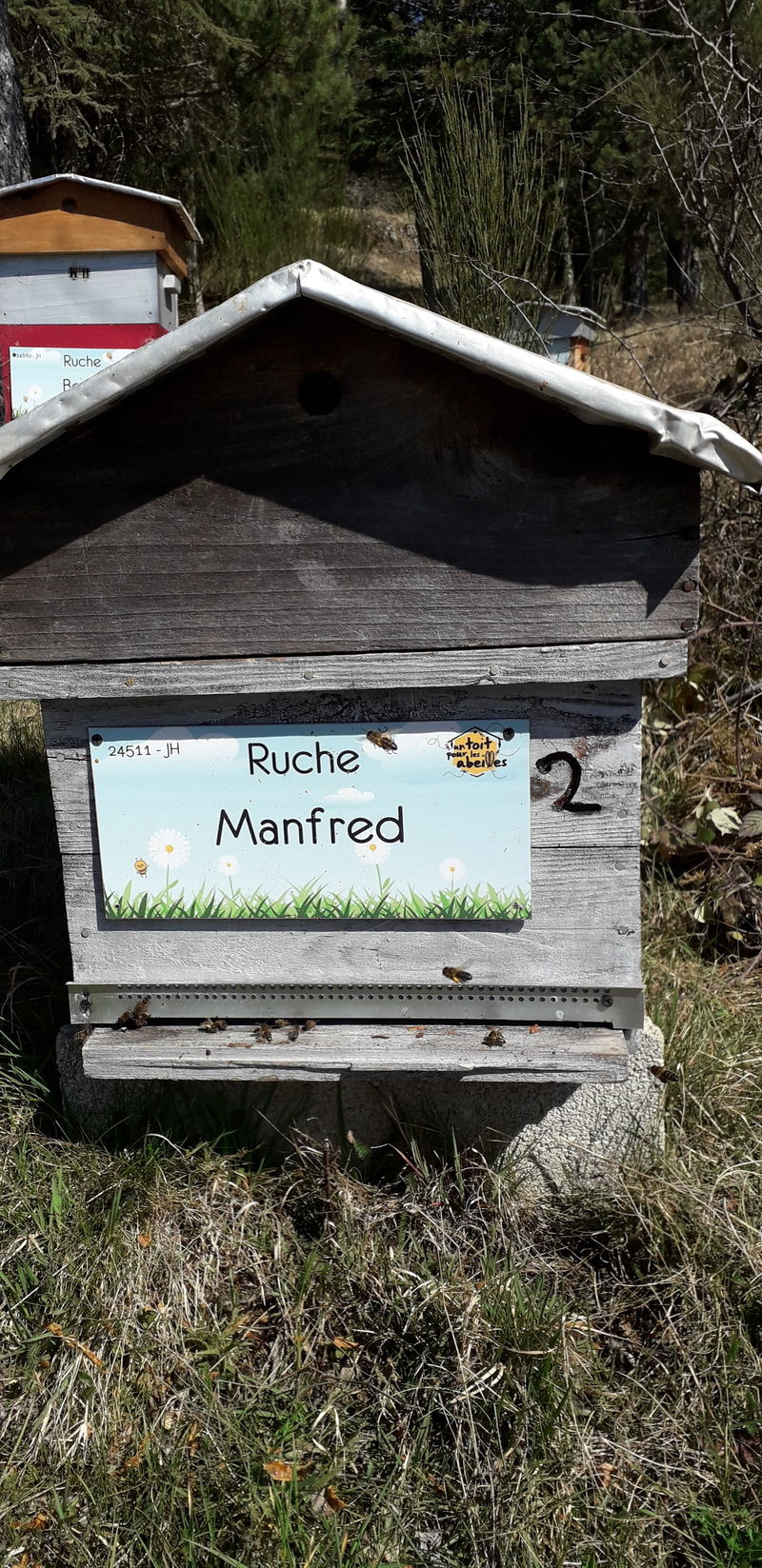 La ruche Manfred