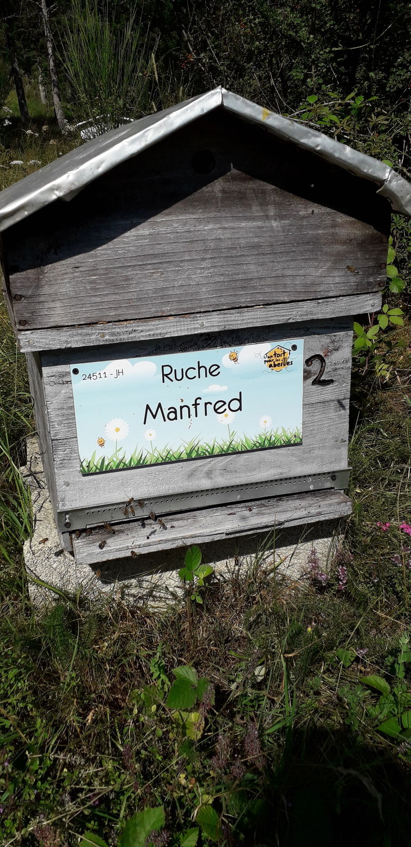 La ruche Manfred