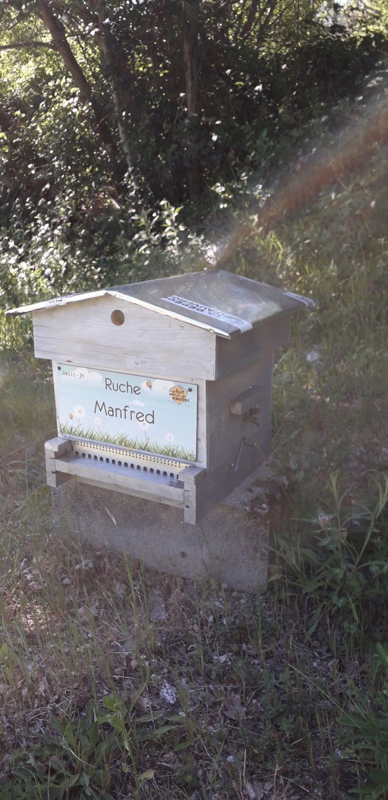 La ruche Manfred