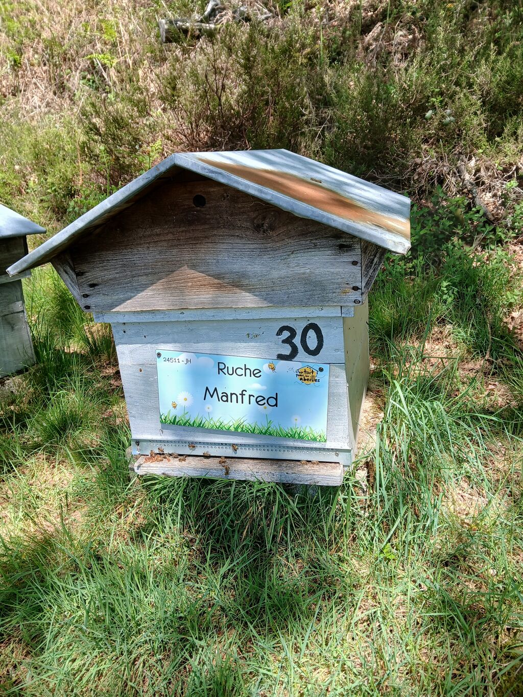 La ruche Manfred