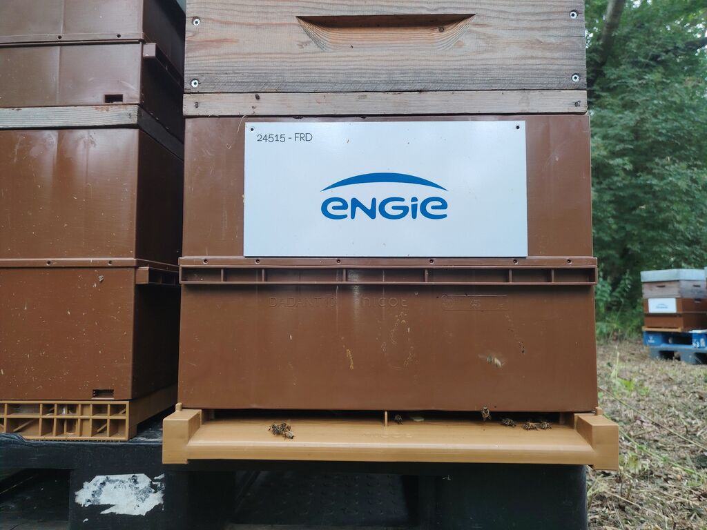 La ruche ENGIE - MPPA