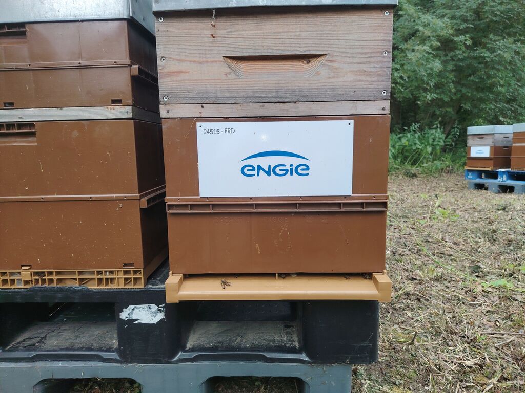 La ruche ENGIE - MPPA