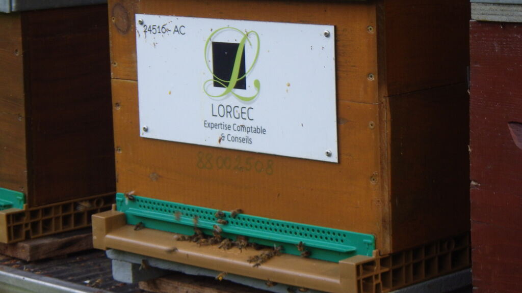 La ruche Lorgec