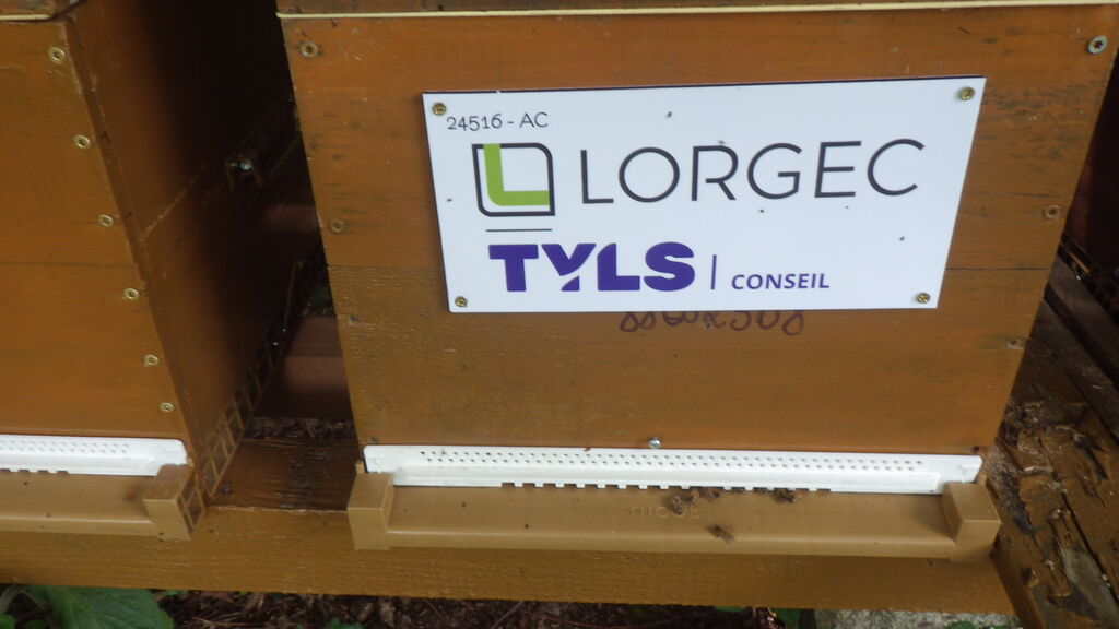 La ruche Lorgec
