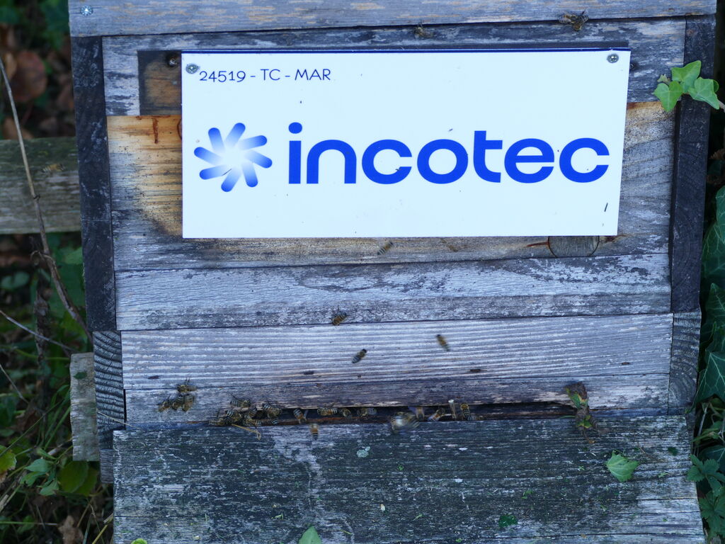 La ruche Incotec