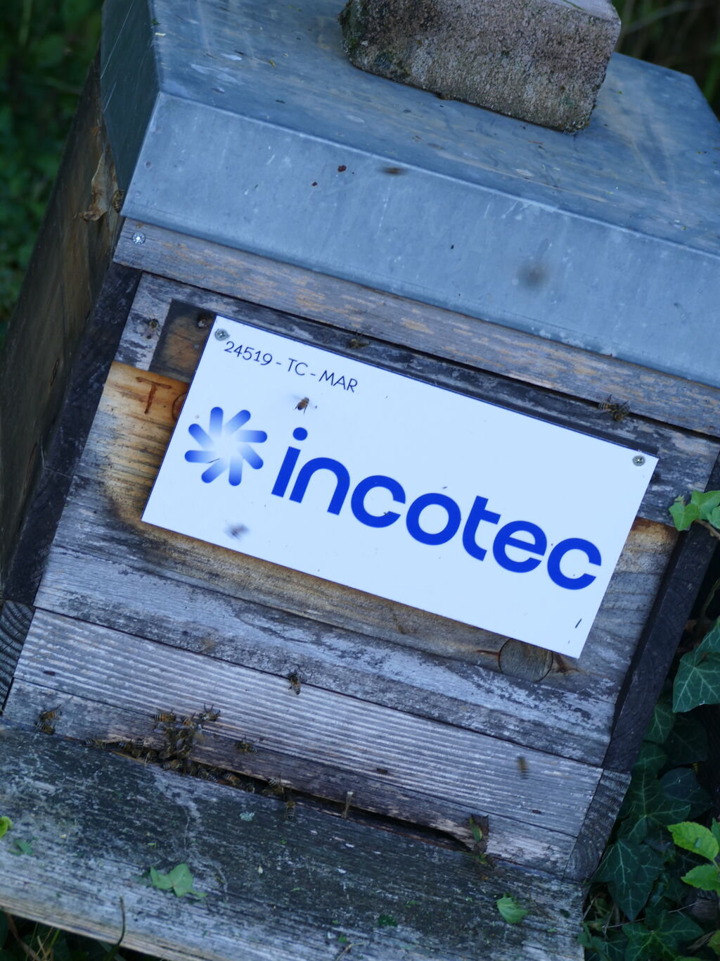 La ruche Incotec