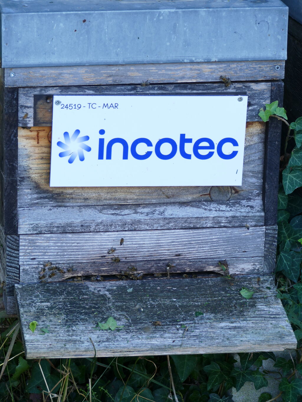 La ruche Incotec