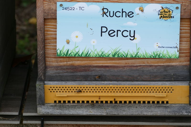 La ruche