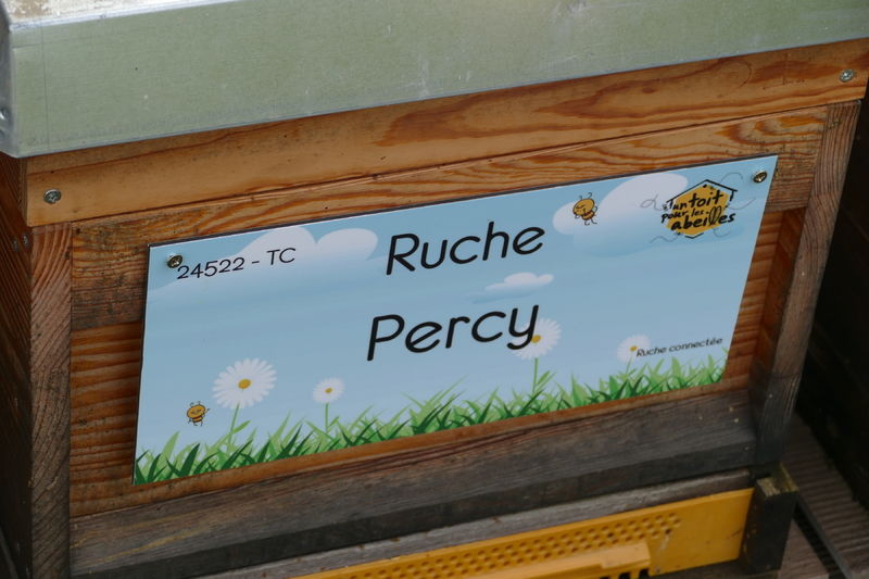 La ruche