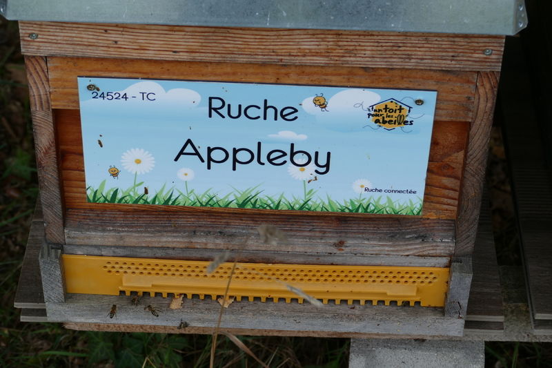 La ruche Appleby