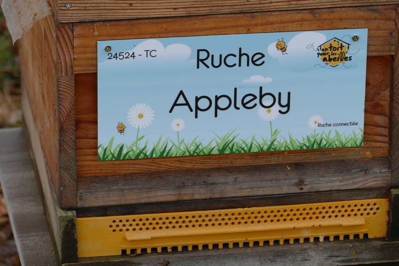 La ruche Appleby