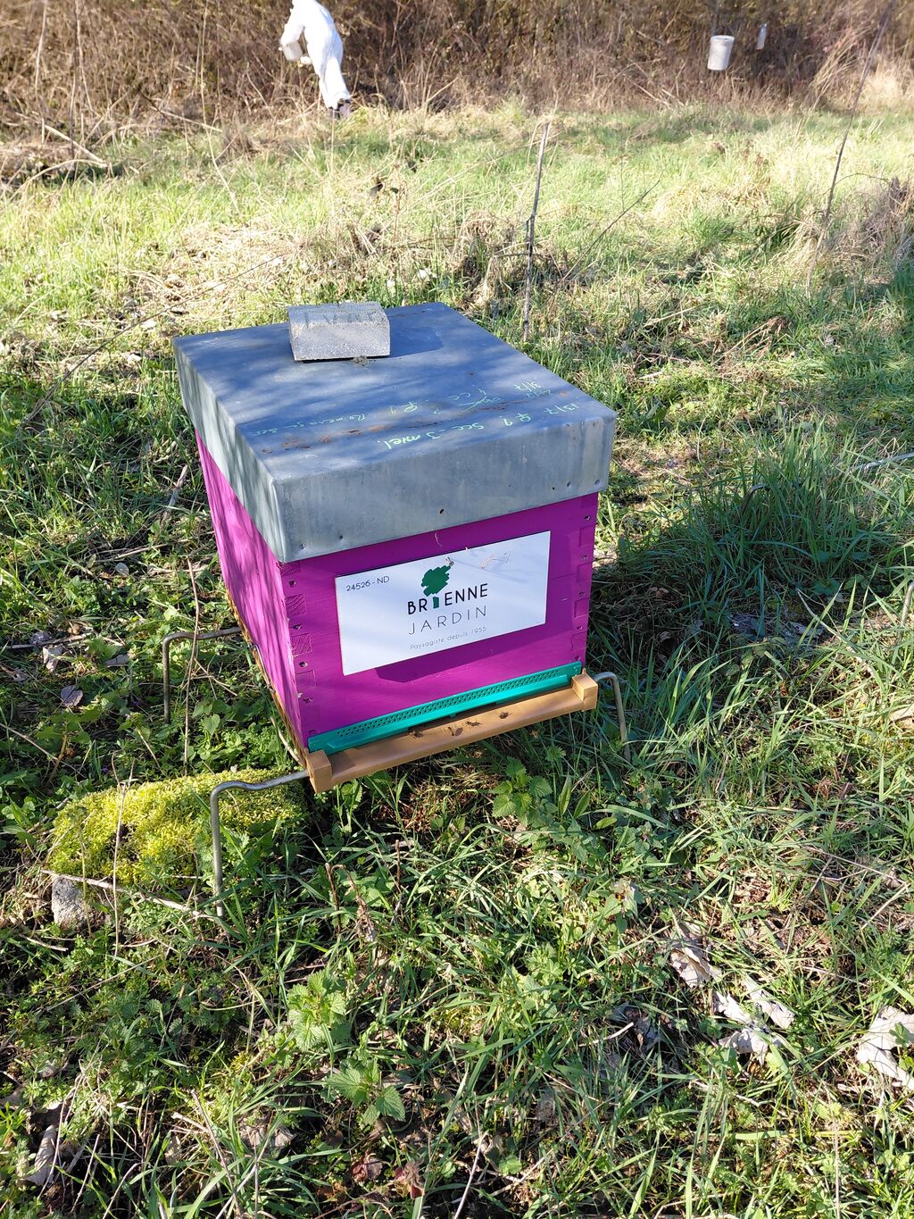 La ruche BRIENNE JARDIN