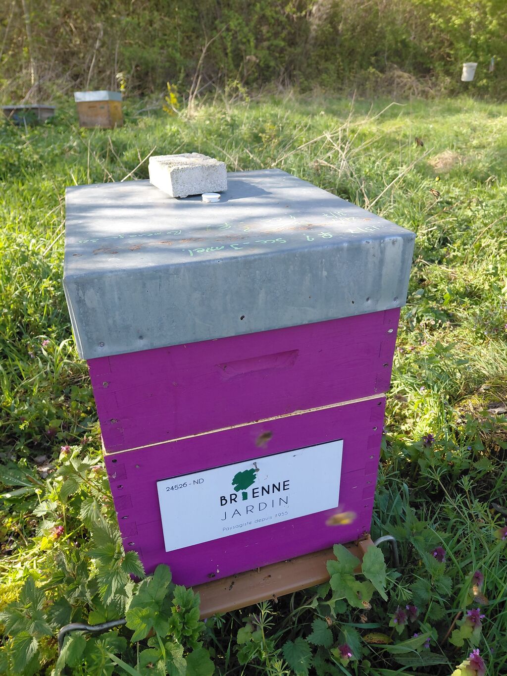 La ruche BRIENNE JARDIN