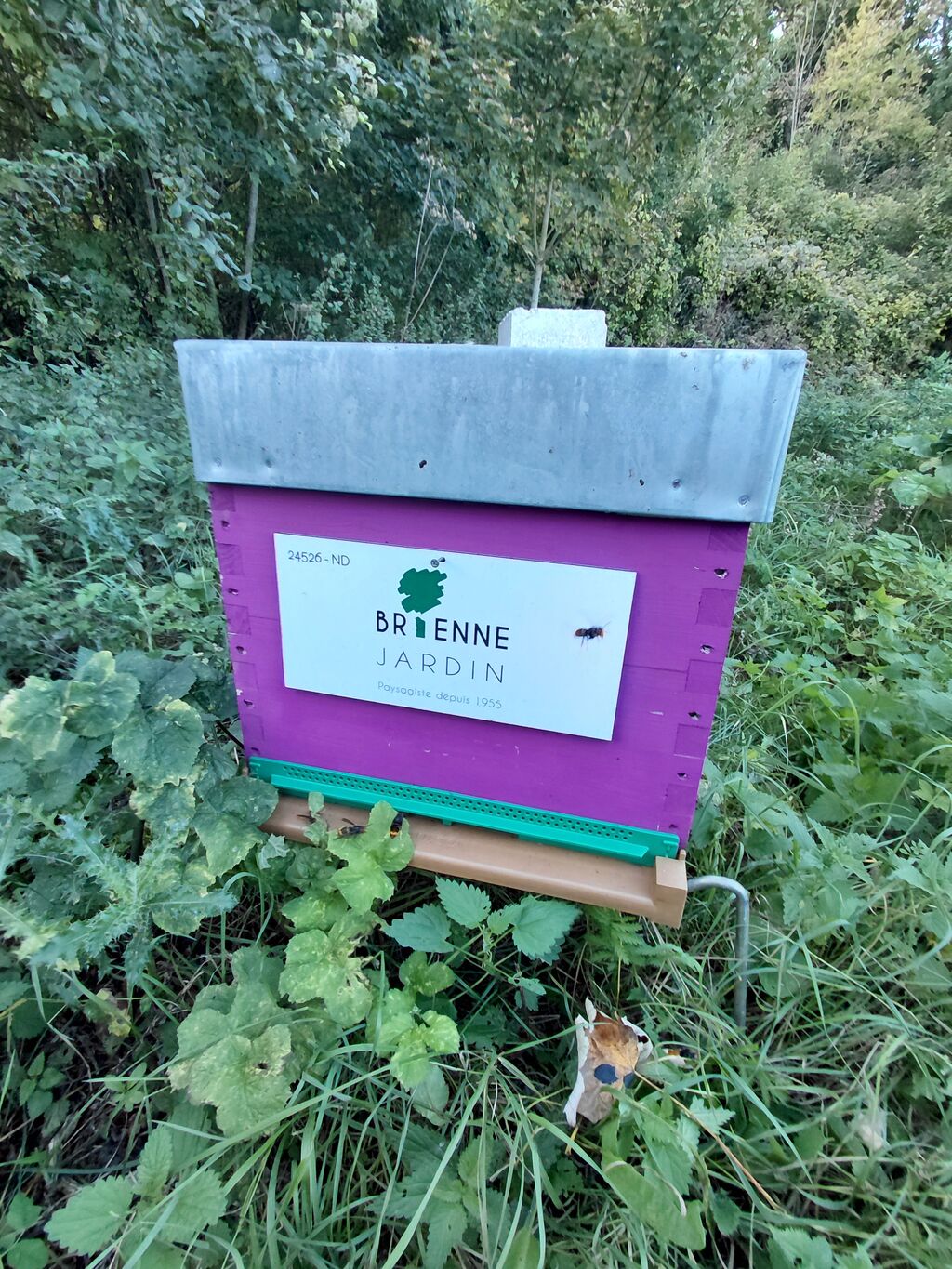 La ruche BRIENNE JARDIN