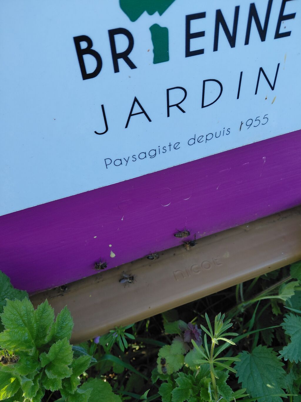 La ruche BRIENNE JARDIN