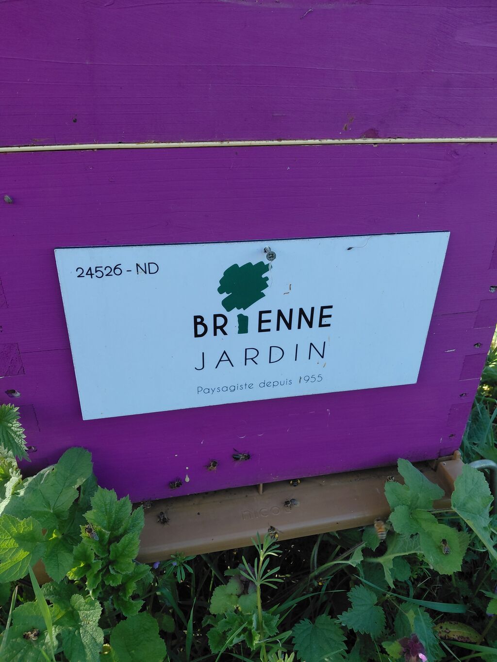 La ruche BRIENNE JARDIN