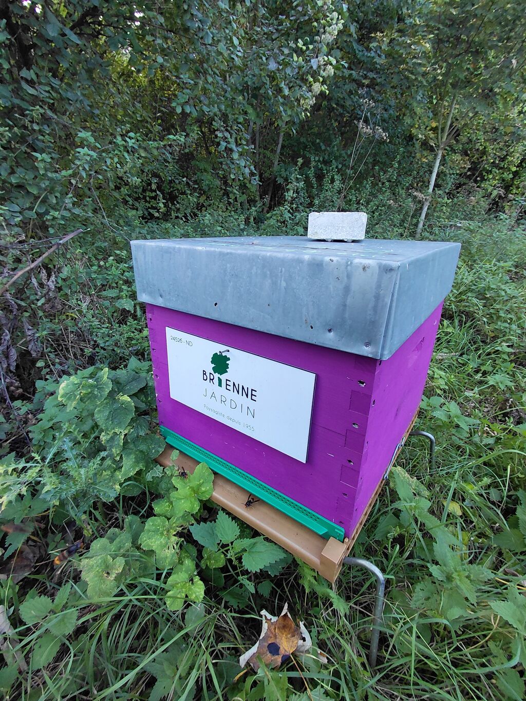 La ruche BRIENNE JARDIN