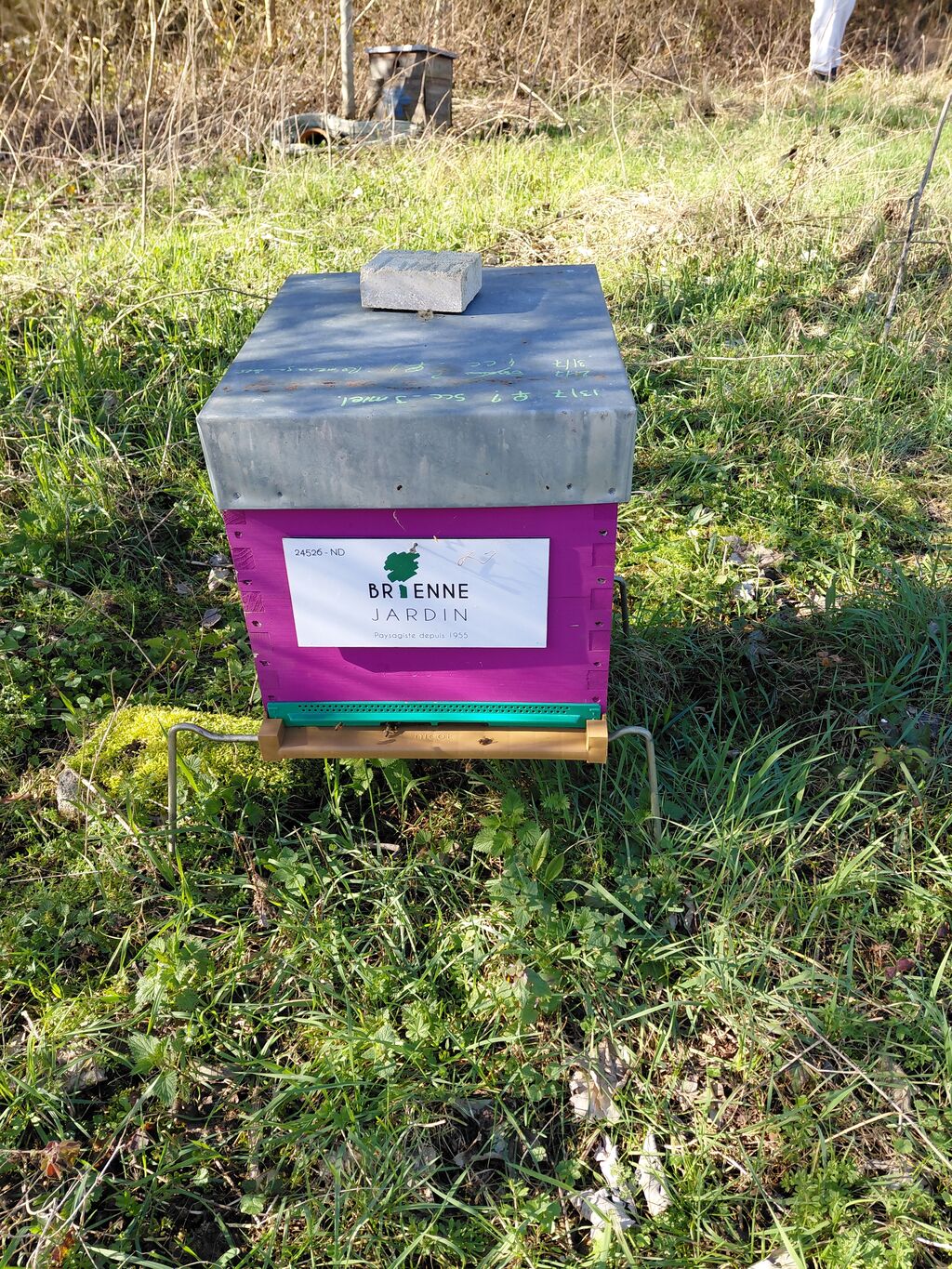 La ruche BRIENNE JARDIN