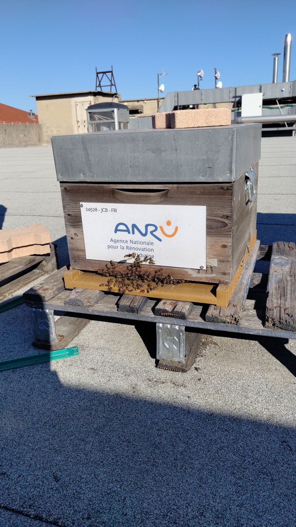 La ruche ANRU