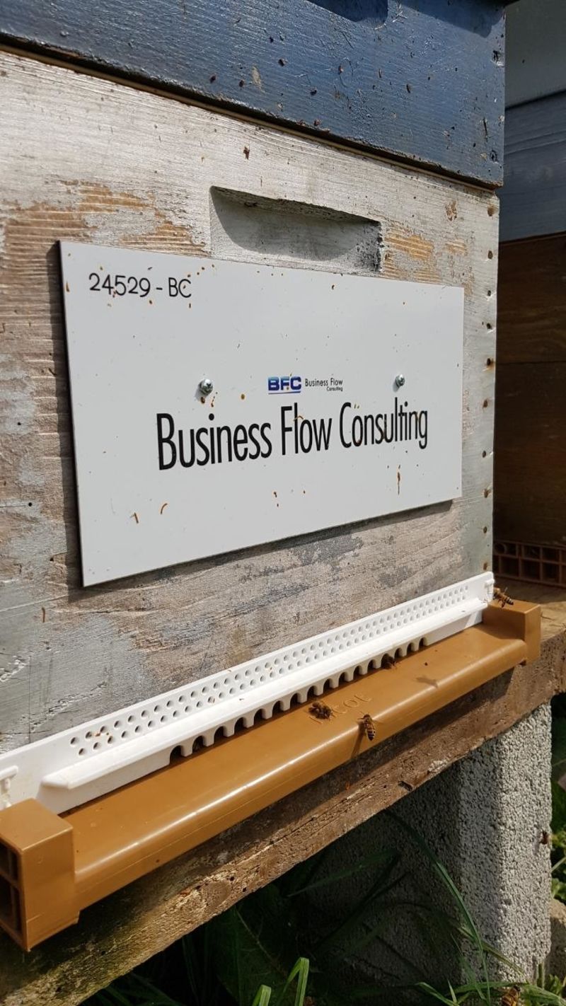 La ruche Business Flow Consulting