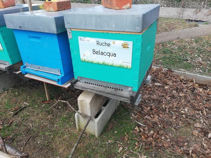 La ruche