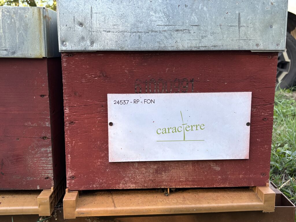La ruche SARL CARACTERRE