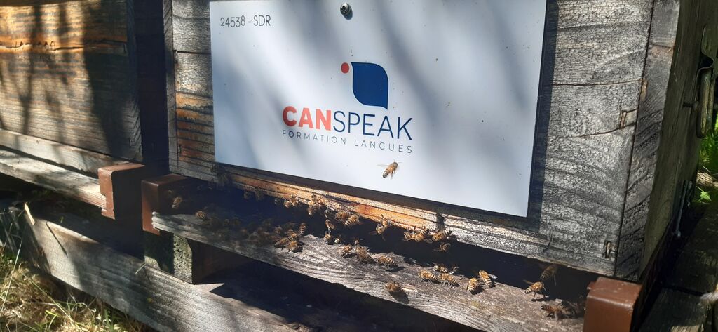 La ruche CANSPEAK