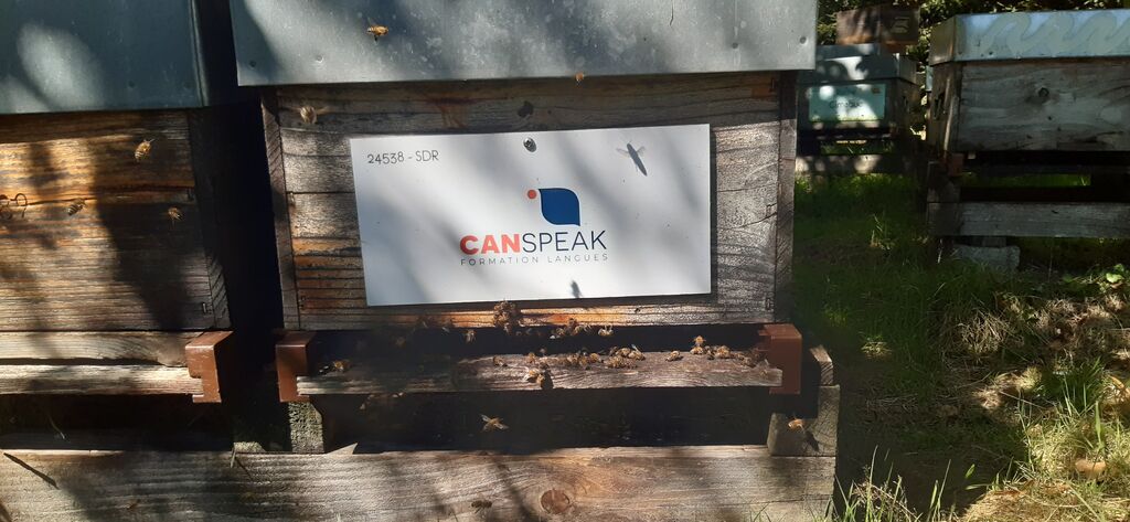 La ruche CANSPEAK