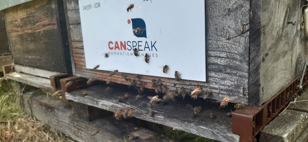 La ruche CANSPEAK