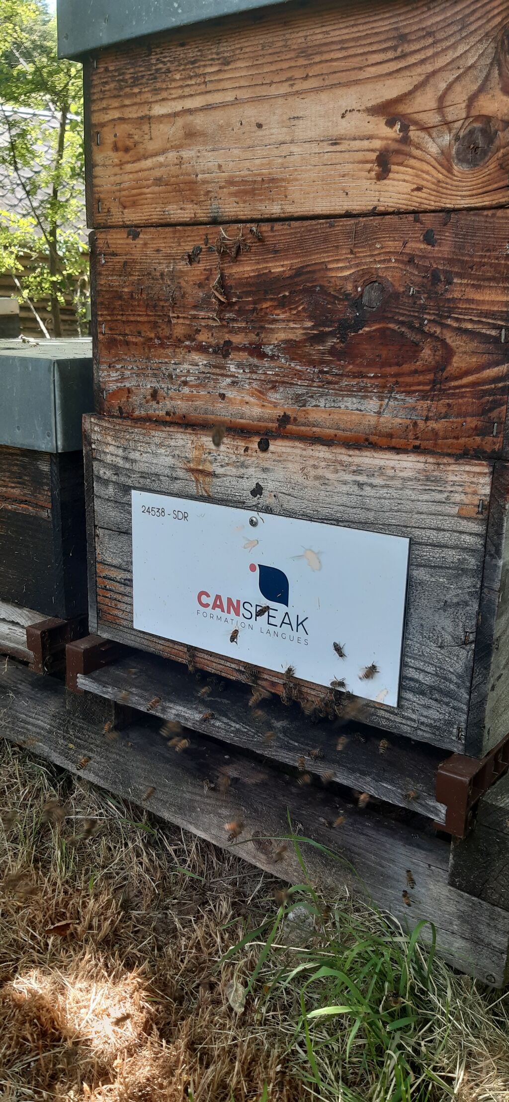 La ruche CANSPEAK