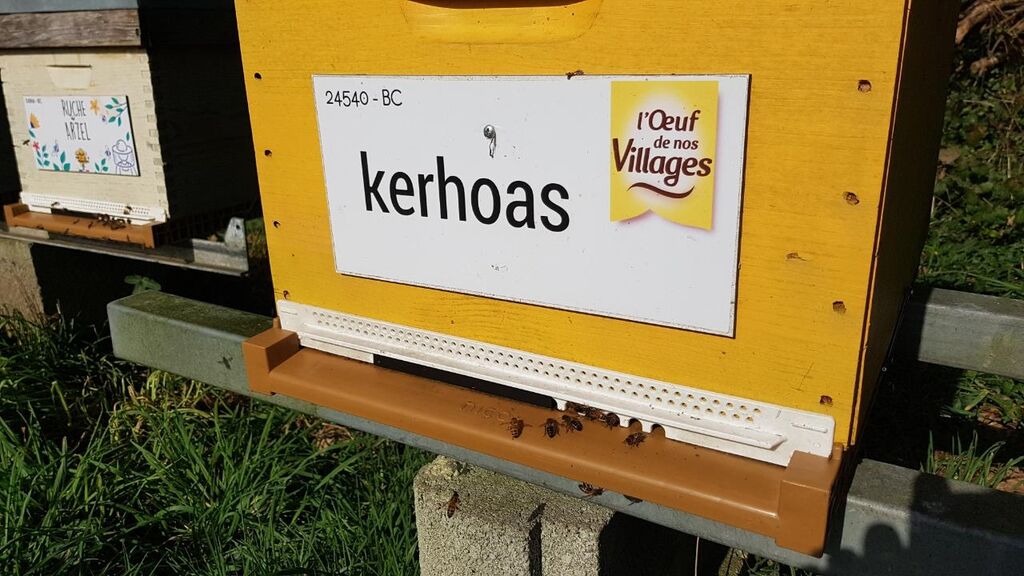 La ruche KERHOAS