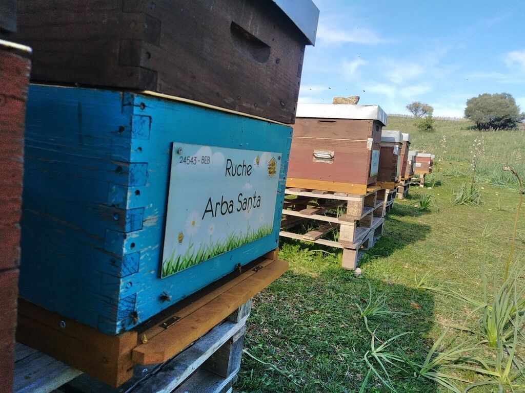 La ruche Arba Santa
