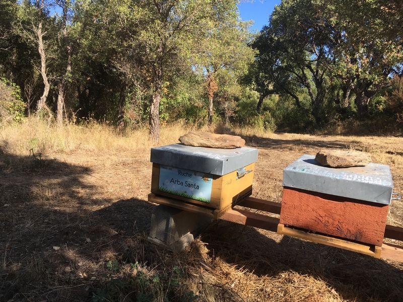 La ruche Arba Santa