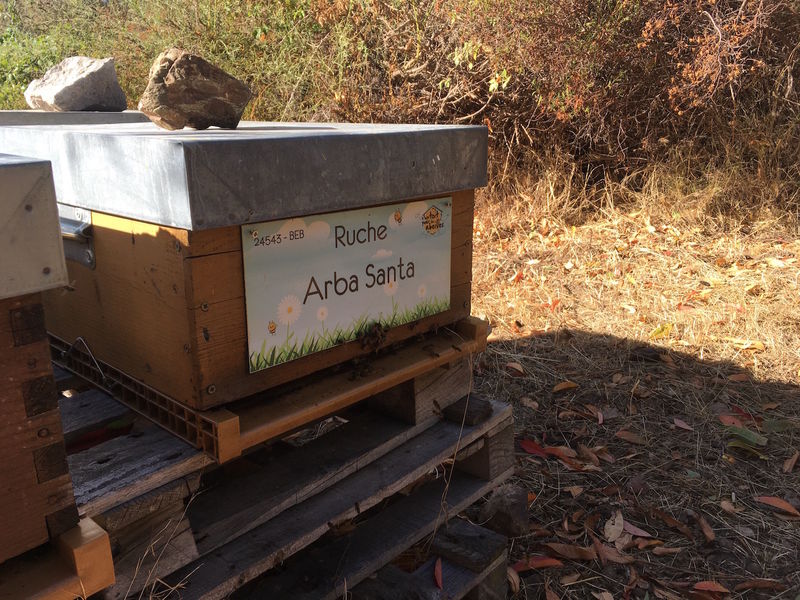 La ruche Arba Santa