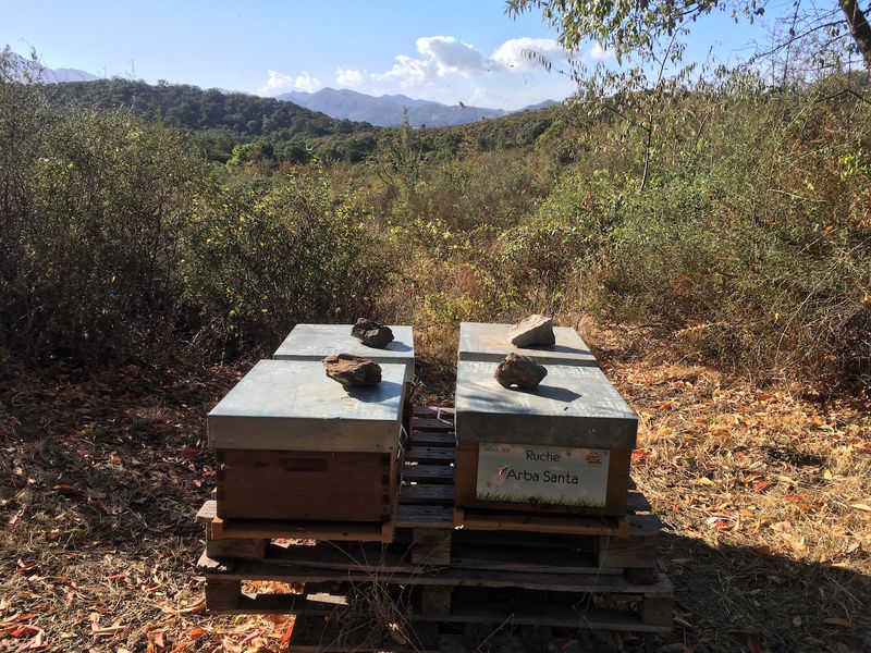 La ruche Arba Santa